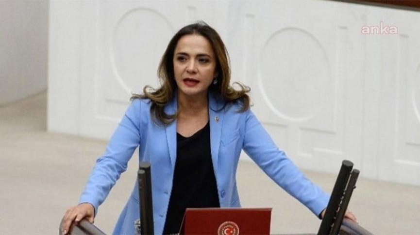 İlgezdi, sanatçıların kadrosuz ve asgari ücretle çalıştırılmasını Meclis gündemine taşıdı