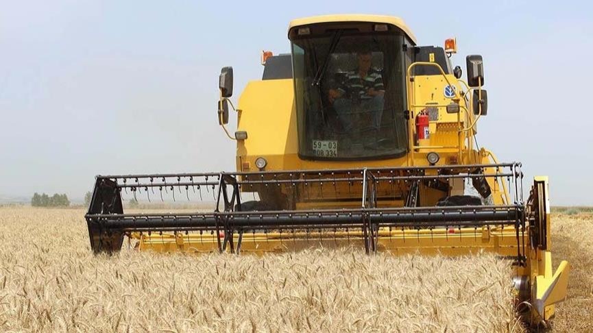 TMO, buğday ve arpada üçüncü ithalatı yapacak