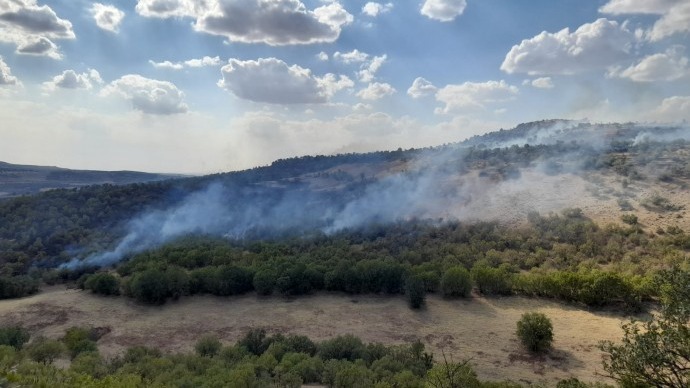 Lice’de başlayan yangın yayılıyor
