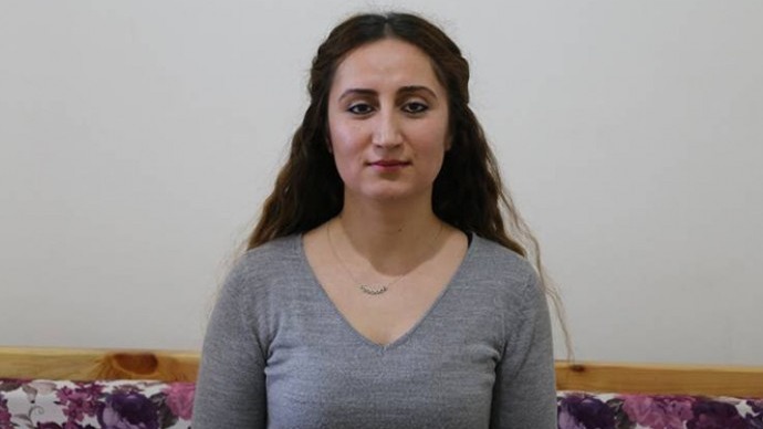 Gazeteci Roza Metina'ya ceza talebi