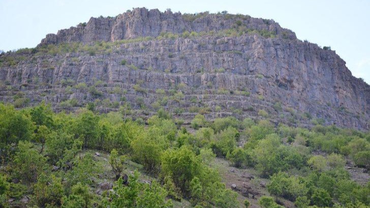 ‘Şırnak’ta orman varlığı yüzde 8 azaldı’
