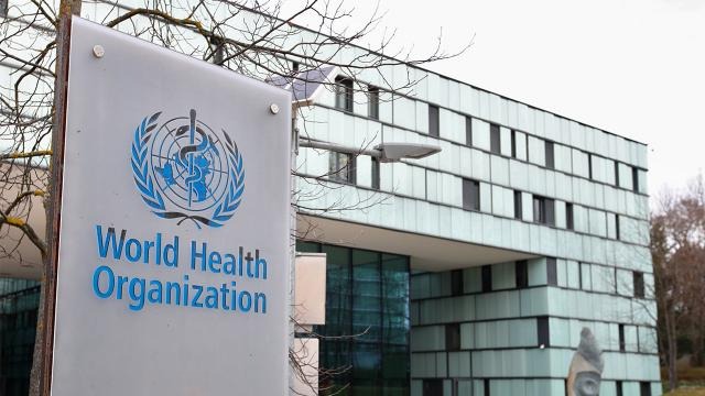 DSÖ: Avrupa salgının merkezi haline geldi, 500 bin kişi daha ölebilir