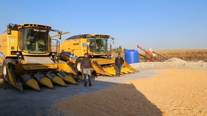 TMO'daki fiyat belirsizliği Mardin'de mısır hasadının durmasına neden oldu